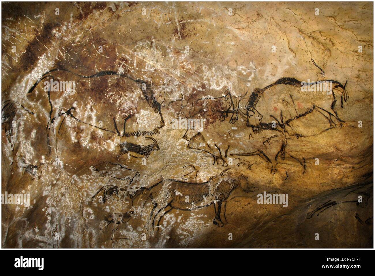 Painting in the Cave of Niaux. Stock Photo