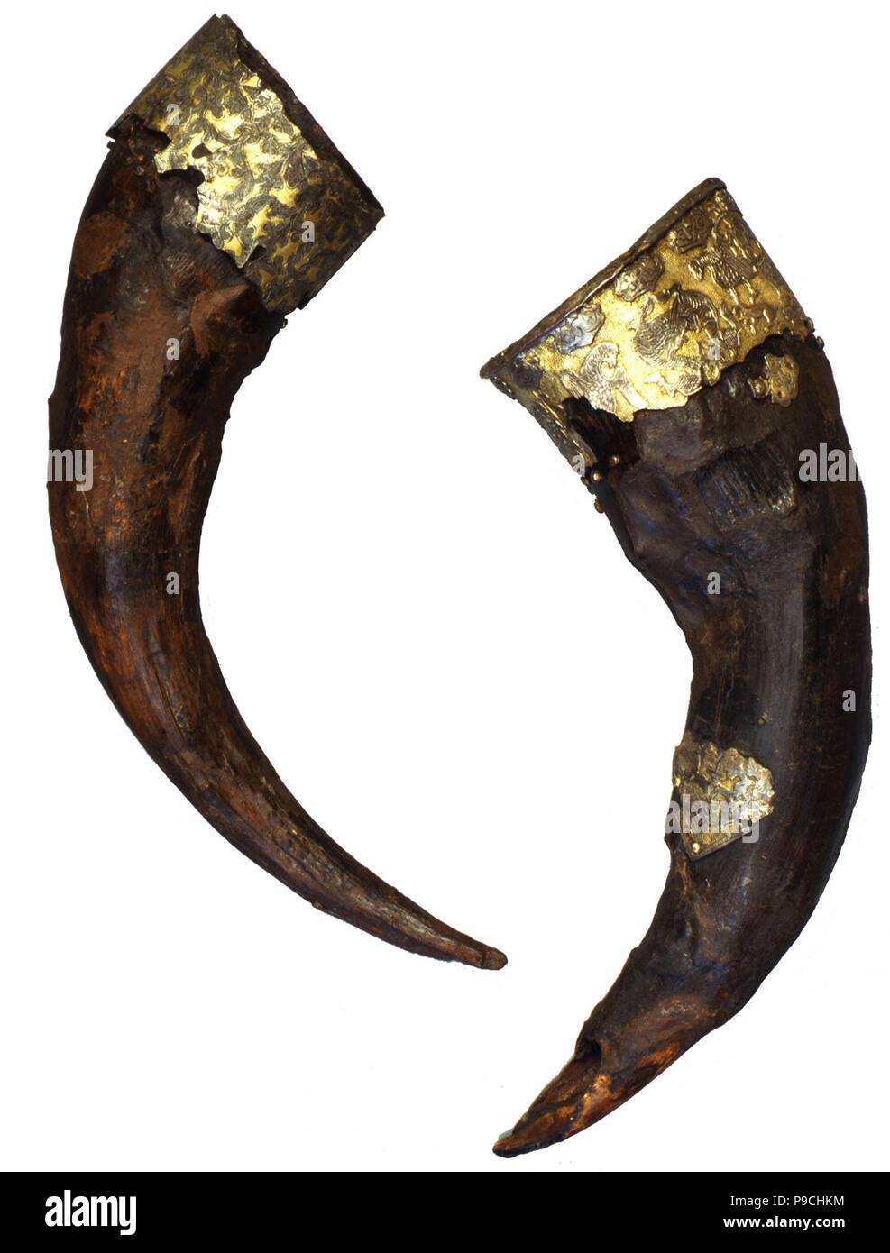Drinking horns (From the burial mound Black Grave in Chernihiv). Museum