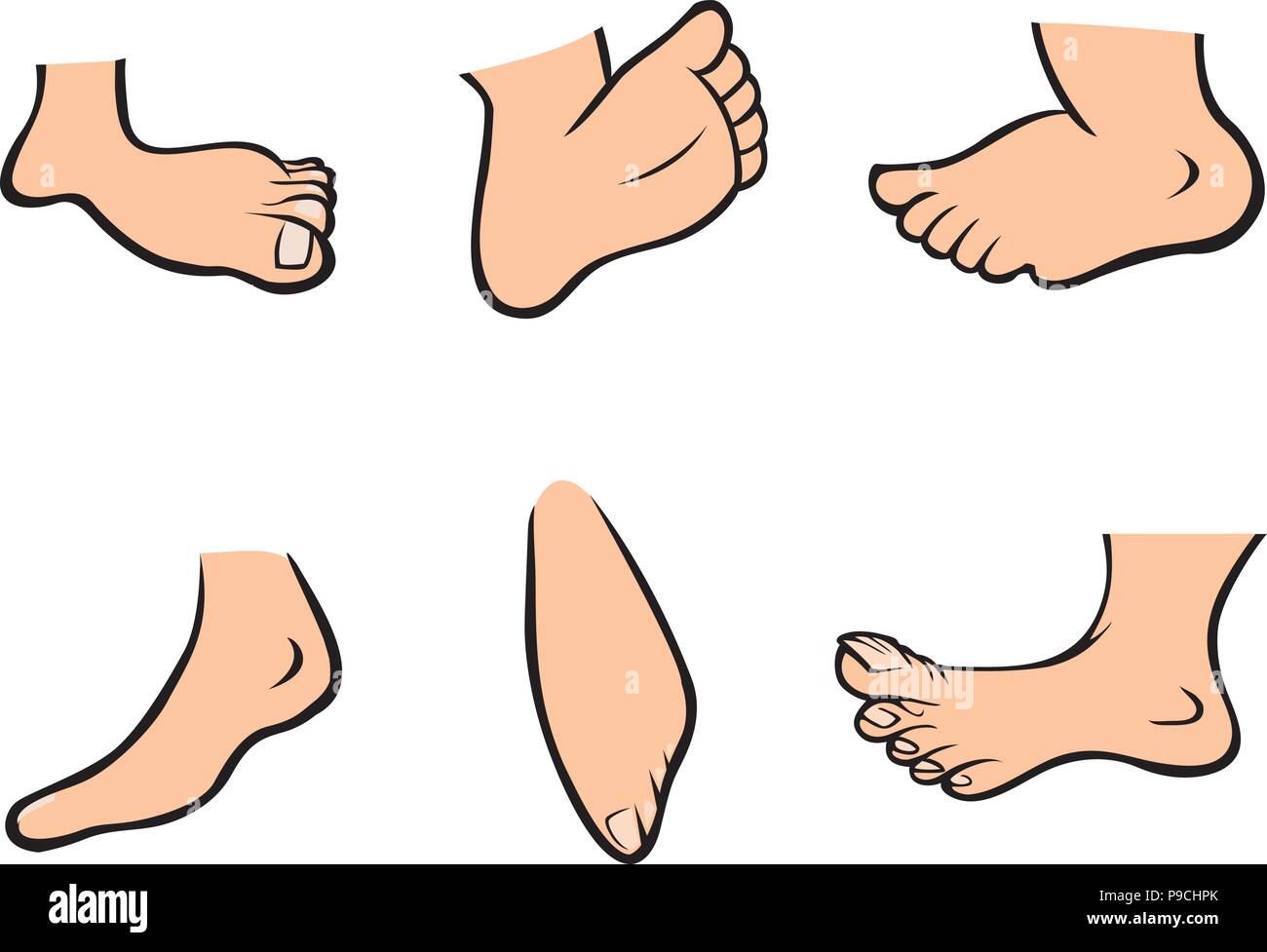 Cartoon Vector Illustration Of A Feet Collection Stock Vector Image Art Alamy