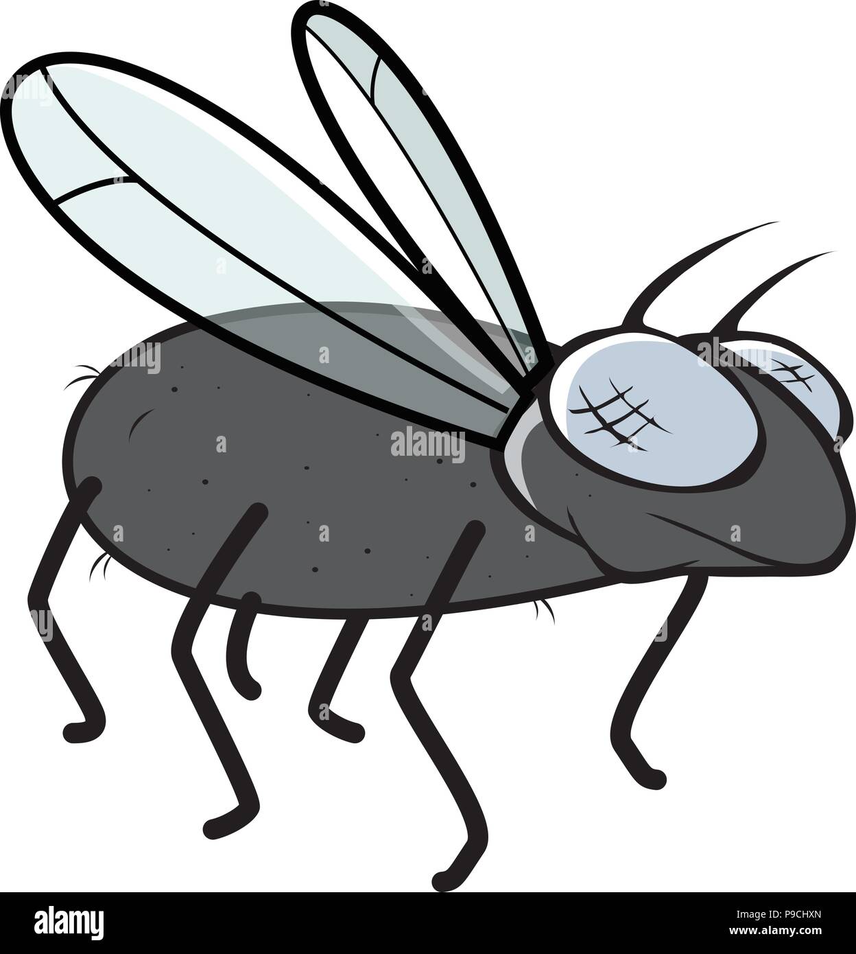 Cartoon Vector Illustration Of A Fly Stock Vector Image Art Alamy