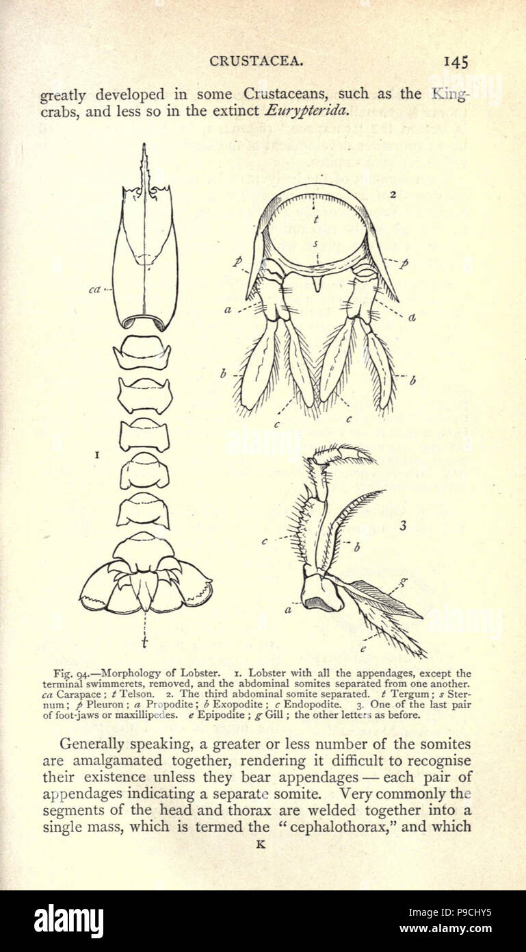A manual of palaeontology for the use of students with a general ...
