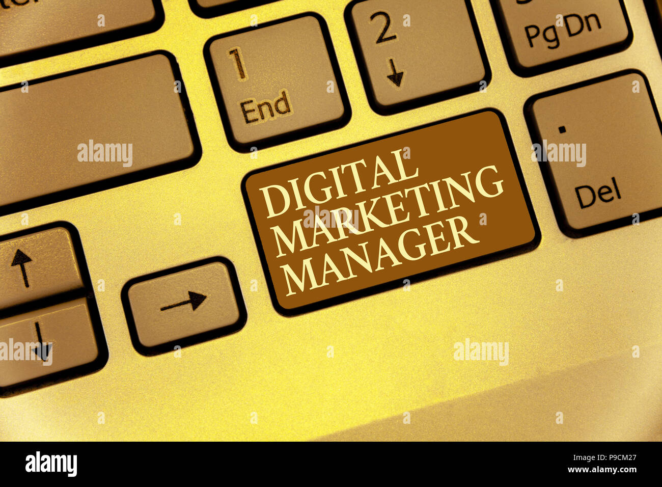 Handwriting text writing Digital Marketing Manager. Concept meaning ...