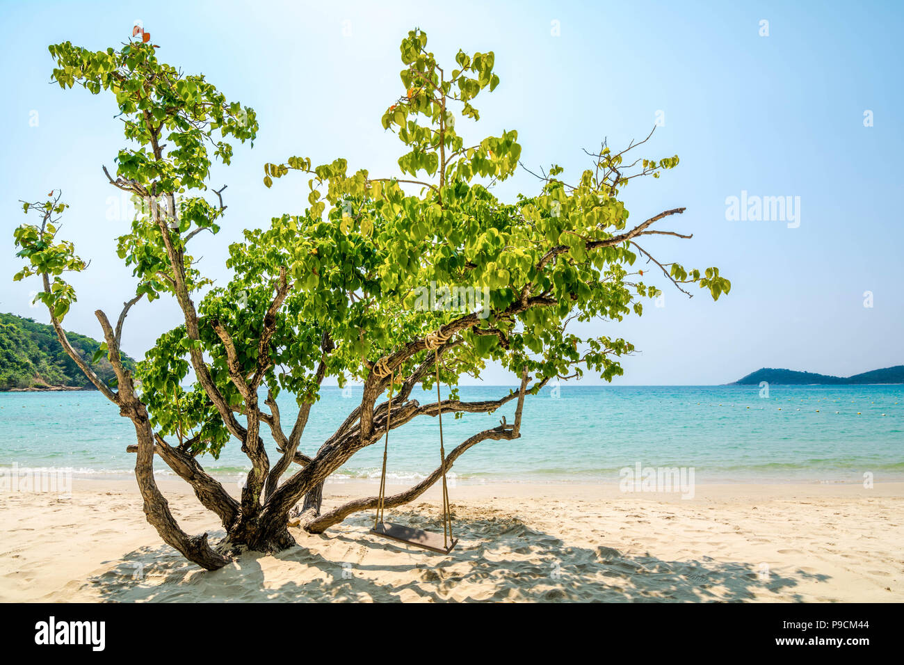 Swings under the trees on the White Sand Beach on Samet Island, Rayong, Thailand. Stock Photo