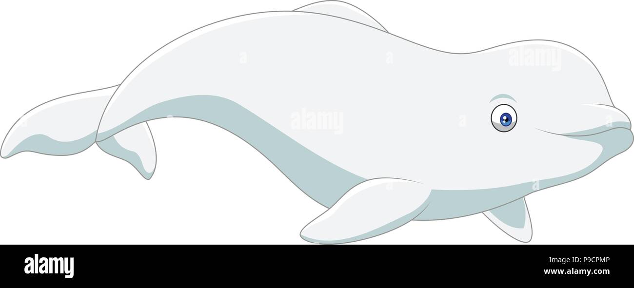 Cartoon beluga isolated on white background Stock Vector