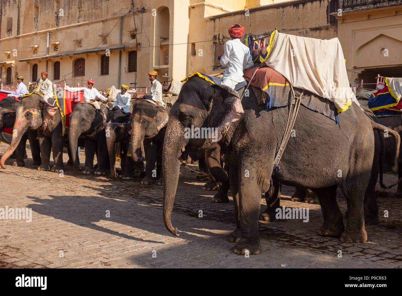 Elephant Ride At Amber Fort Jaipur India Stock Photo Alamy Elephant Ride At Amber Fort Jaipur India Stock Photo Alamy