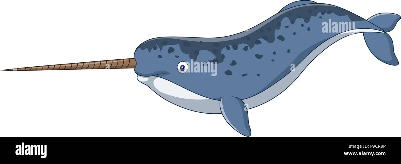 Cartoon narwhal isolated on white background Stock Vector