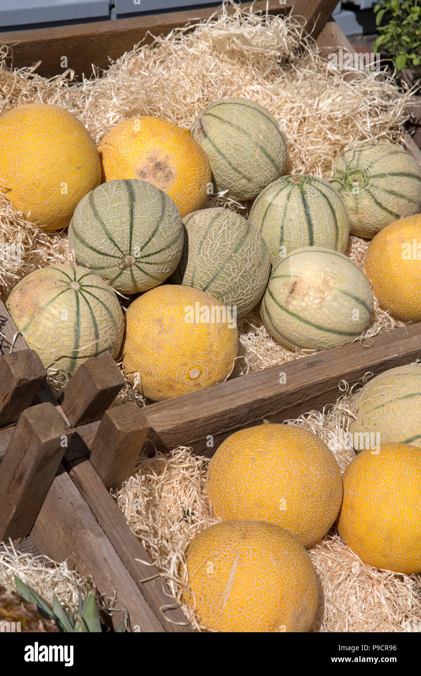 Melons for Sale on Market Stall Stock Photo Alamy