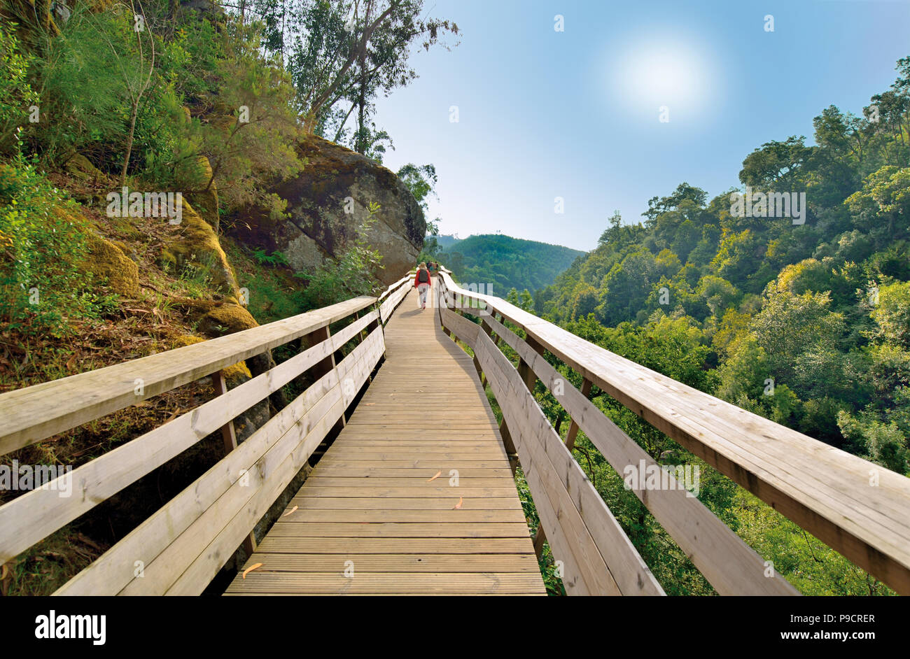 Woman walking on a wooden trail in the middle of a green valley Stock Photo