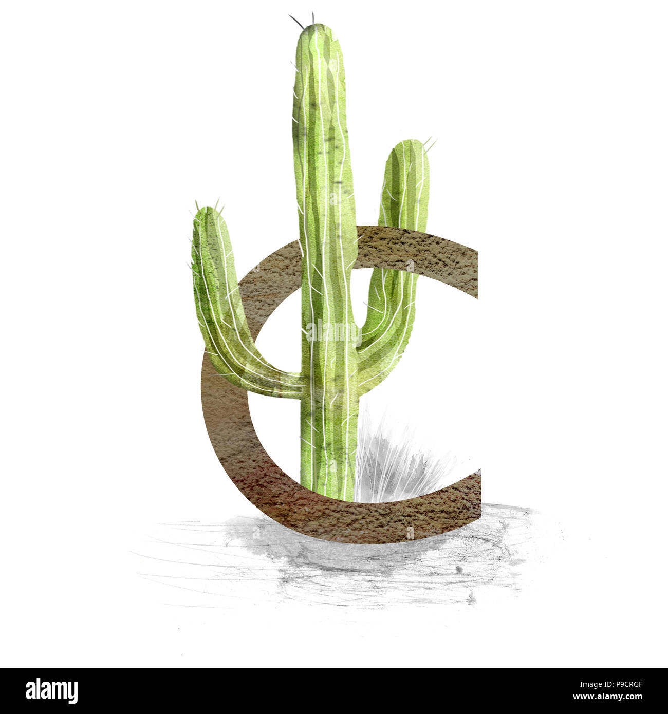 C is for Cactus, Children's Alphabet Letter Stock Photo