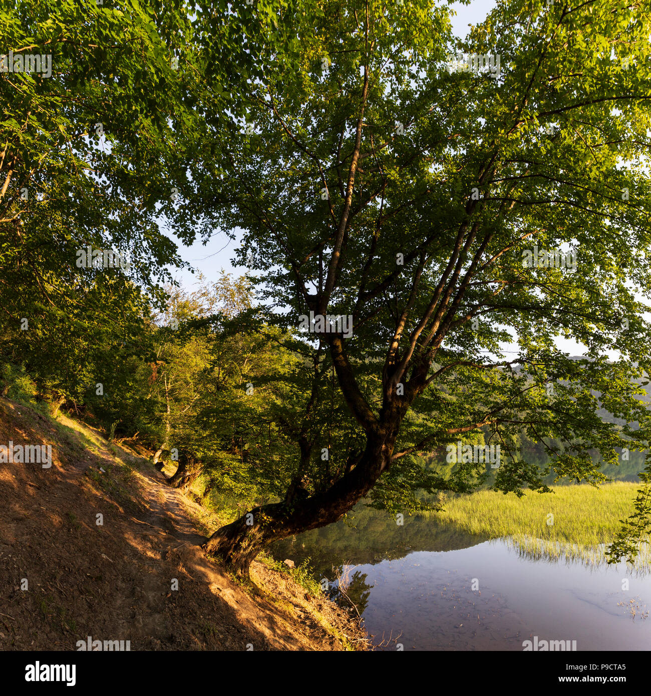 Nohur lake Azerbaijan Stock Photo - Alamy