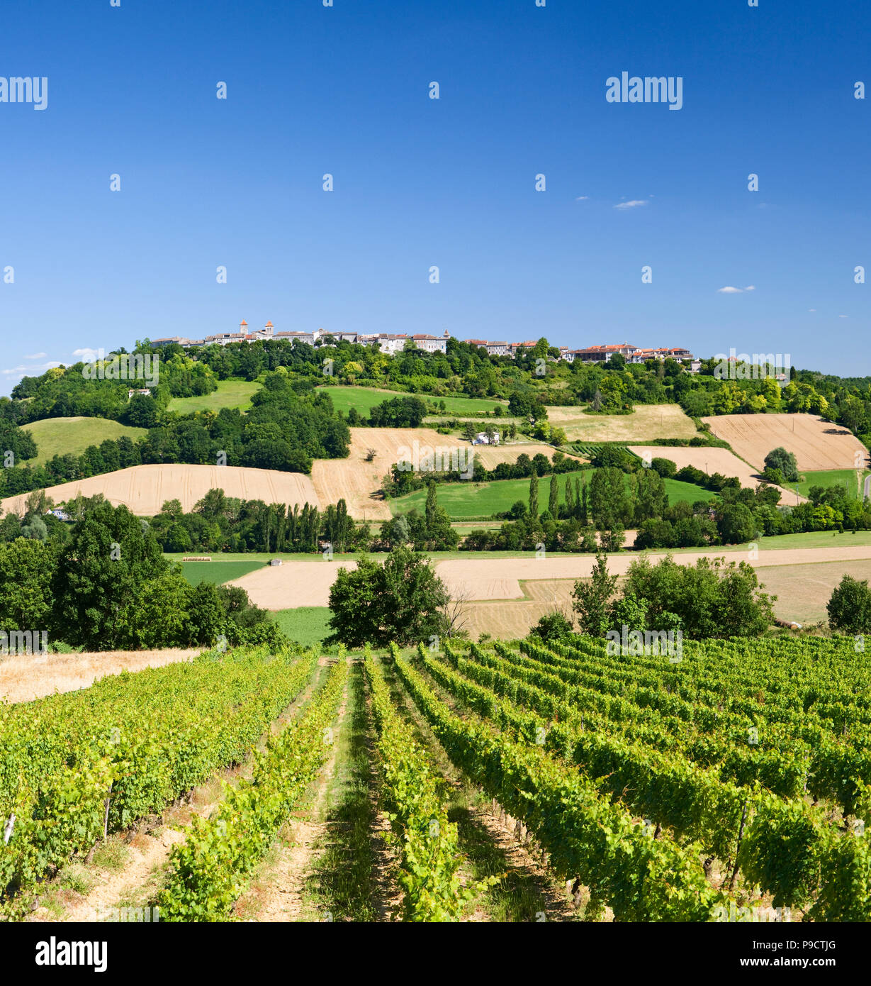 Typical French hilltop bastide town of Lauzerte and vineyard in Tarn et Garonne, France, Europe Stock Photo