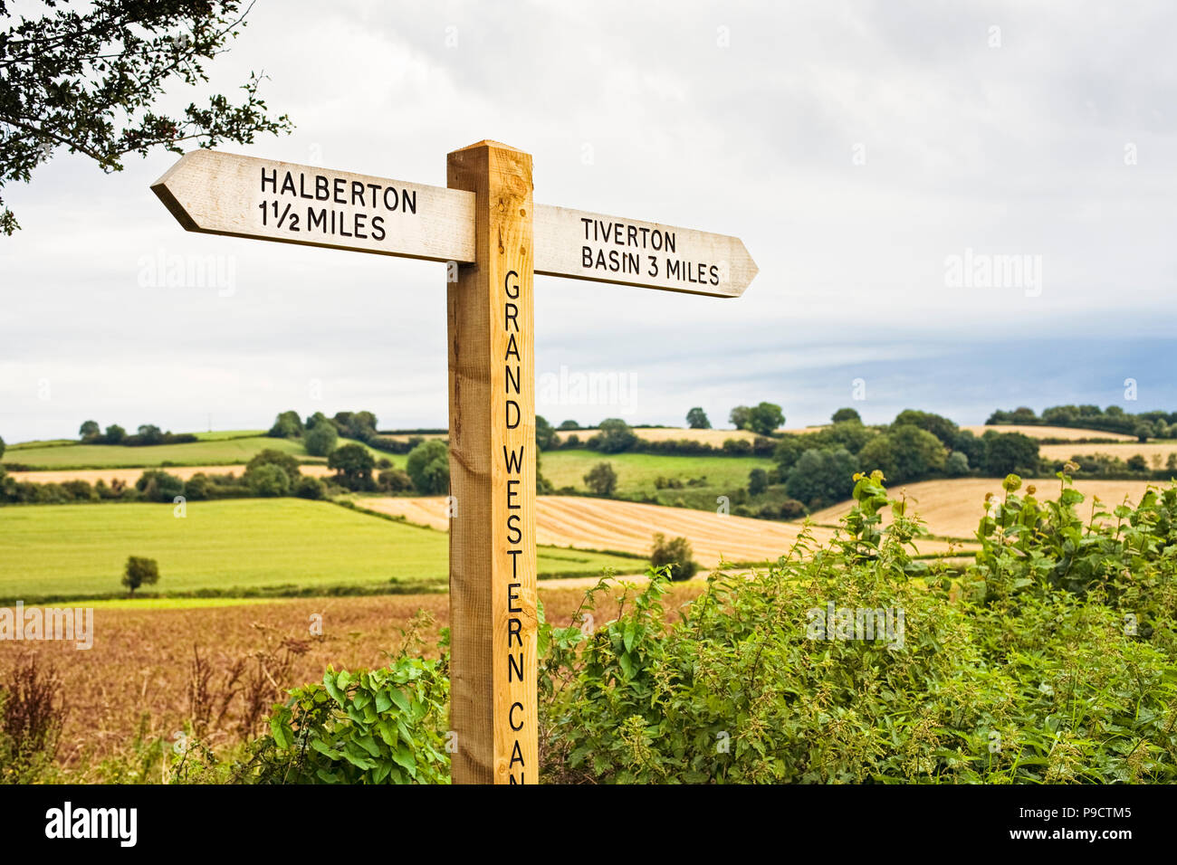 Wooden signpost indicating public footpaths and bridleways along the ...