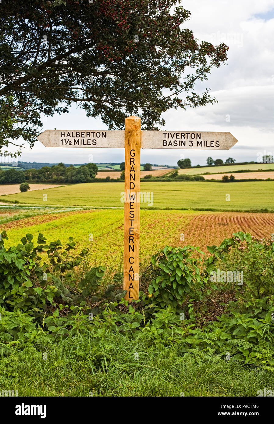 Wooden signpost indicating public footpaths and bridleways along the Grand Western Canal, Devon, England, UK Stock Photo