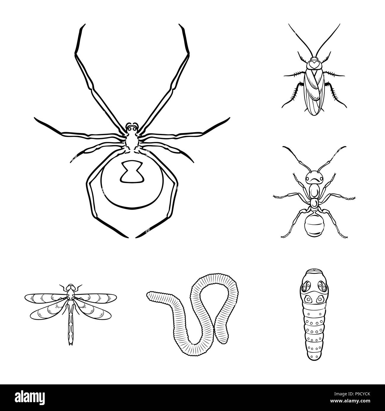 Different kinds of insects outline icons in set collection for design ...