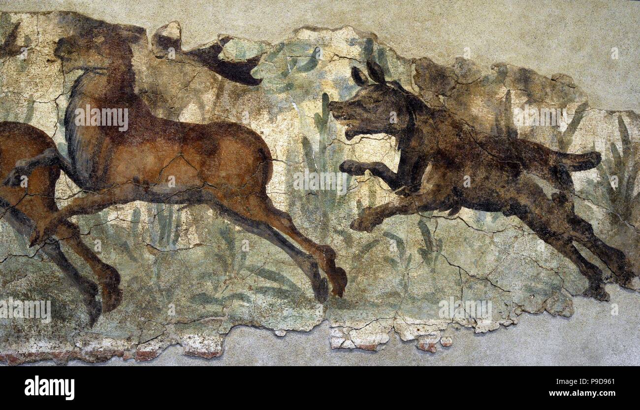 Roman era. Mural painting. Hunting scene. Dog chasing three deer. Detail. 2nd-3rd century AD. National Archaeological Museum. Tarragona. Catalonia, Spain. Stock Photo