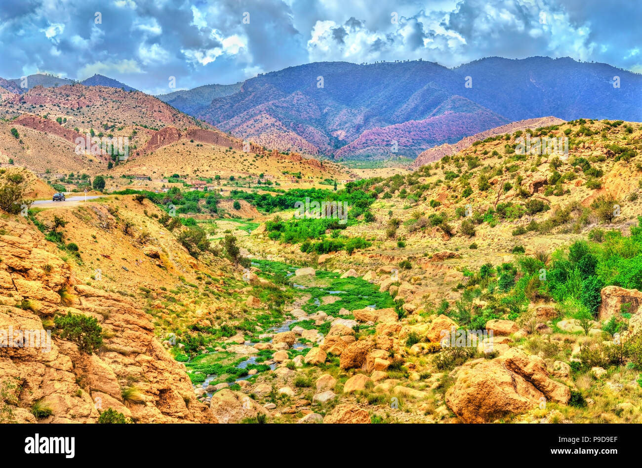 Desert landscape algeria hi-res stock photography and images - Alamy