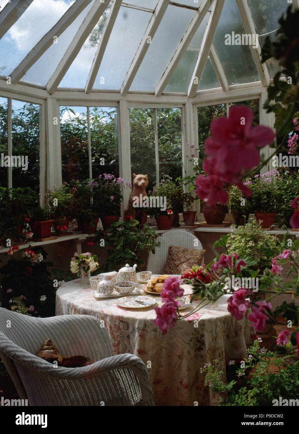 Interiors traditional conservatories chairs hi-res stock photography ...