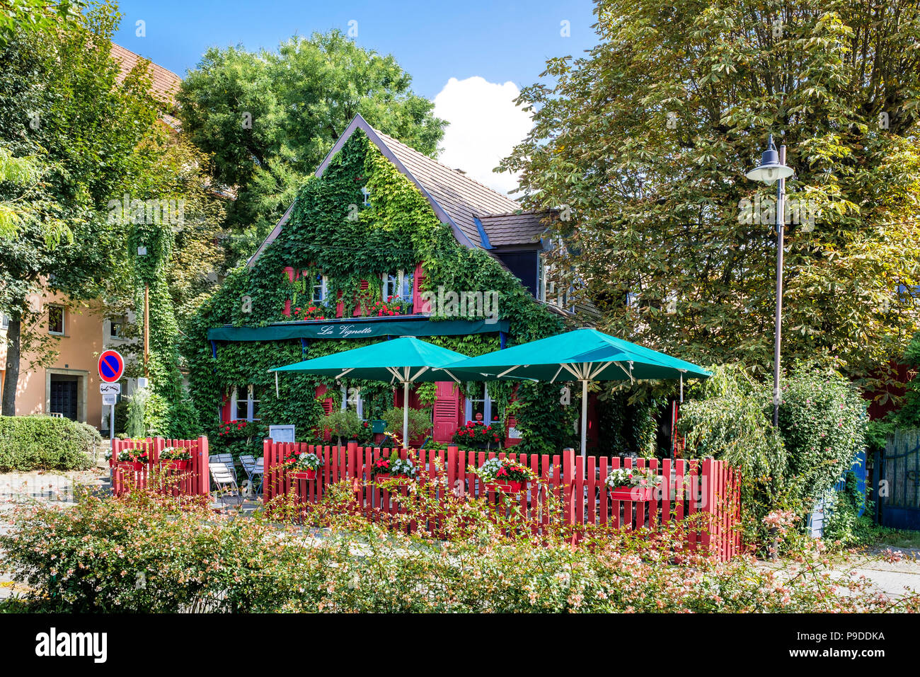 Strasbourg, restaurant La Vignette, ivy-covered house, red pickets fence, Alsace, France, Europe, Stock Photo