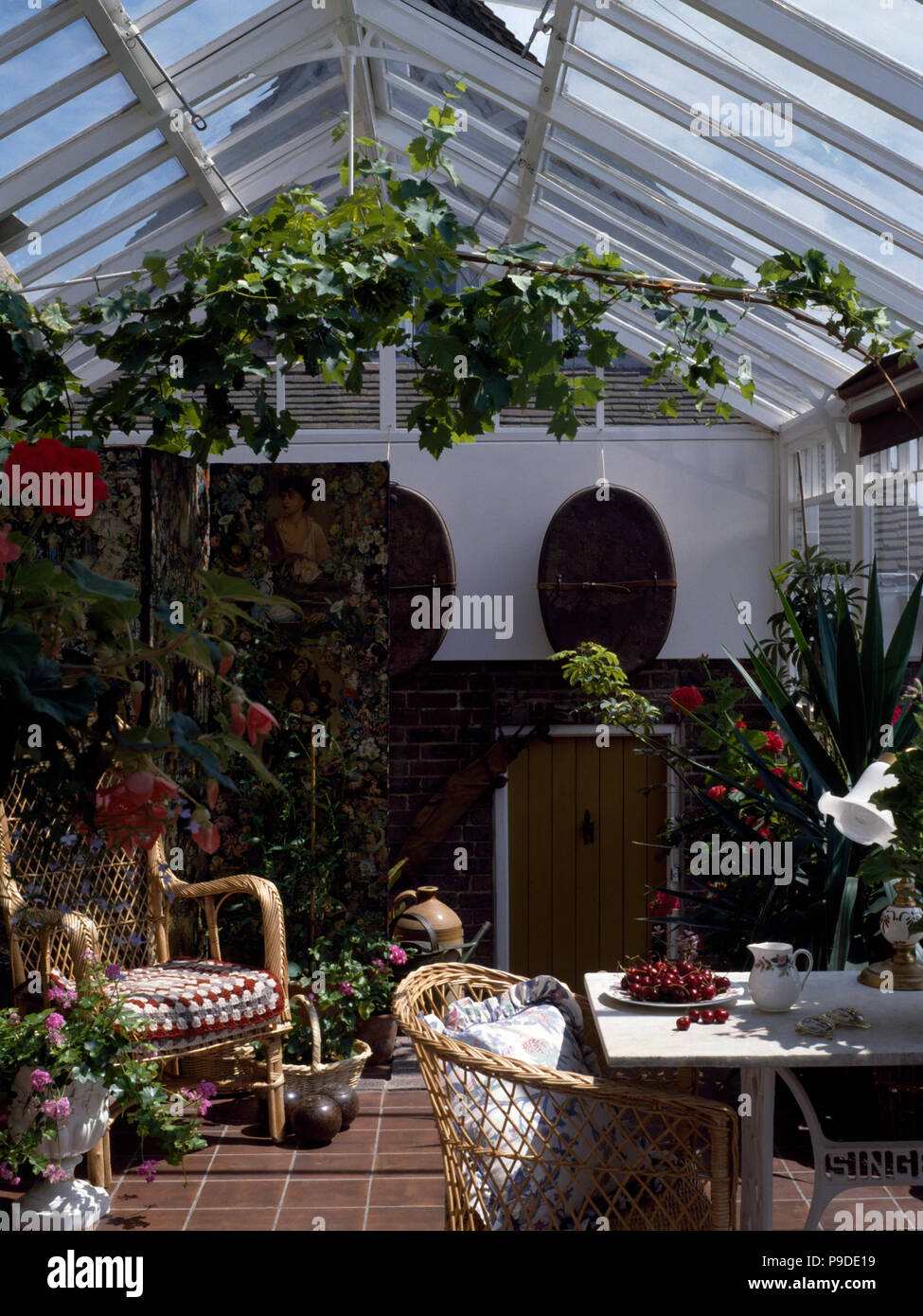Plants for the conservatory hi-res stock photography and images - Alamy