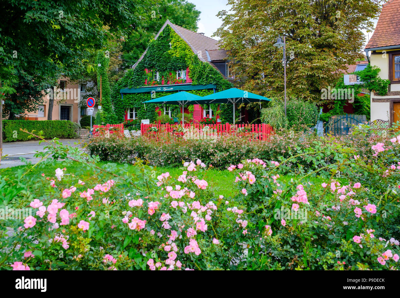 Strasbourg, restaurant La Vignette, ivy-covered house, red pickets fence, flowered garden, Alsace, France, Europe, Stock Photo
