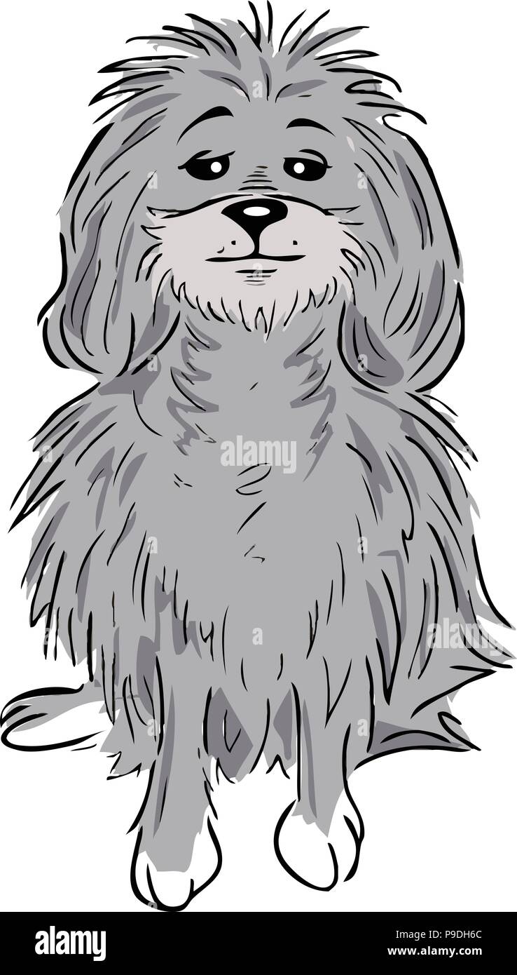 cartoon vector illustration of a poodle dog Stock Vector Image & Art ...