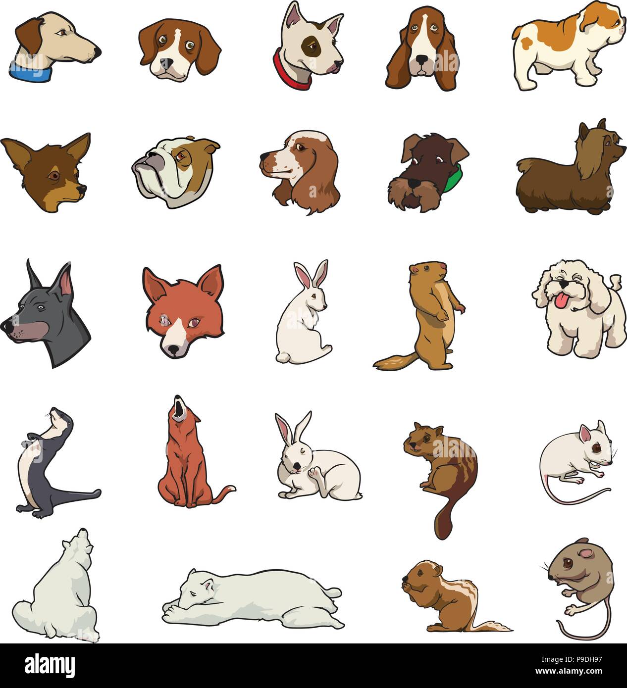 Random animals hi-res stock photography and images - Alamy Random animals hi-res stock photography and images - Alamy