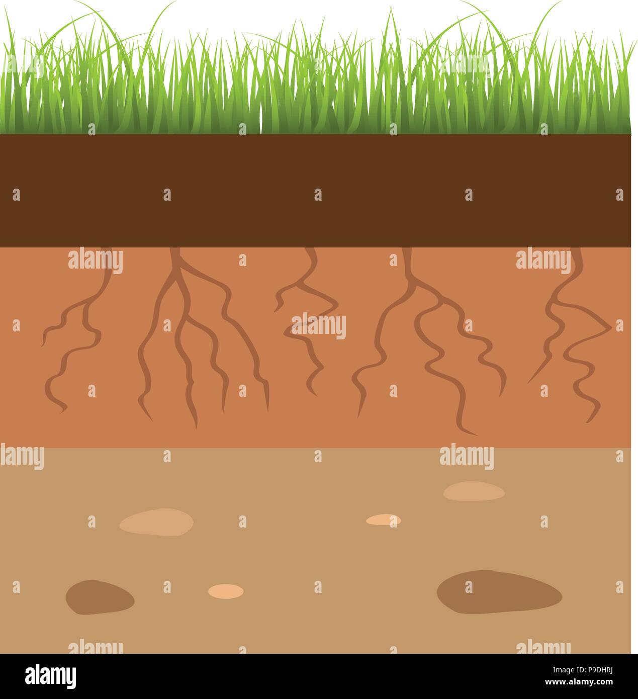 cartoon vector illustration of soil layers Stock Vector