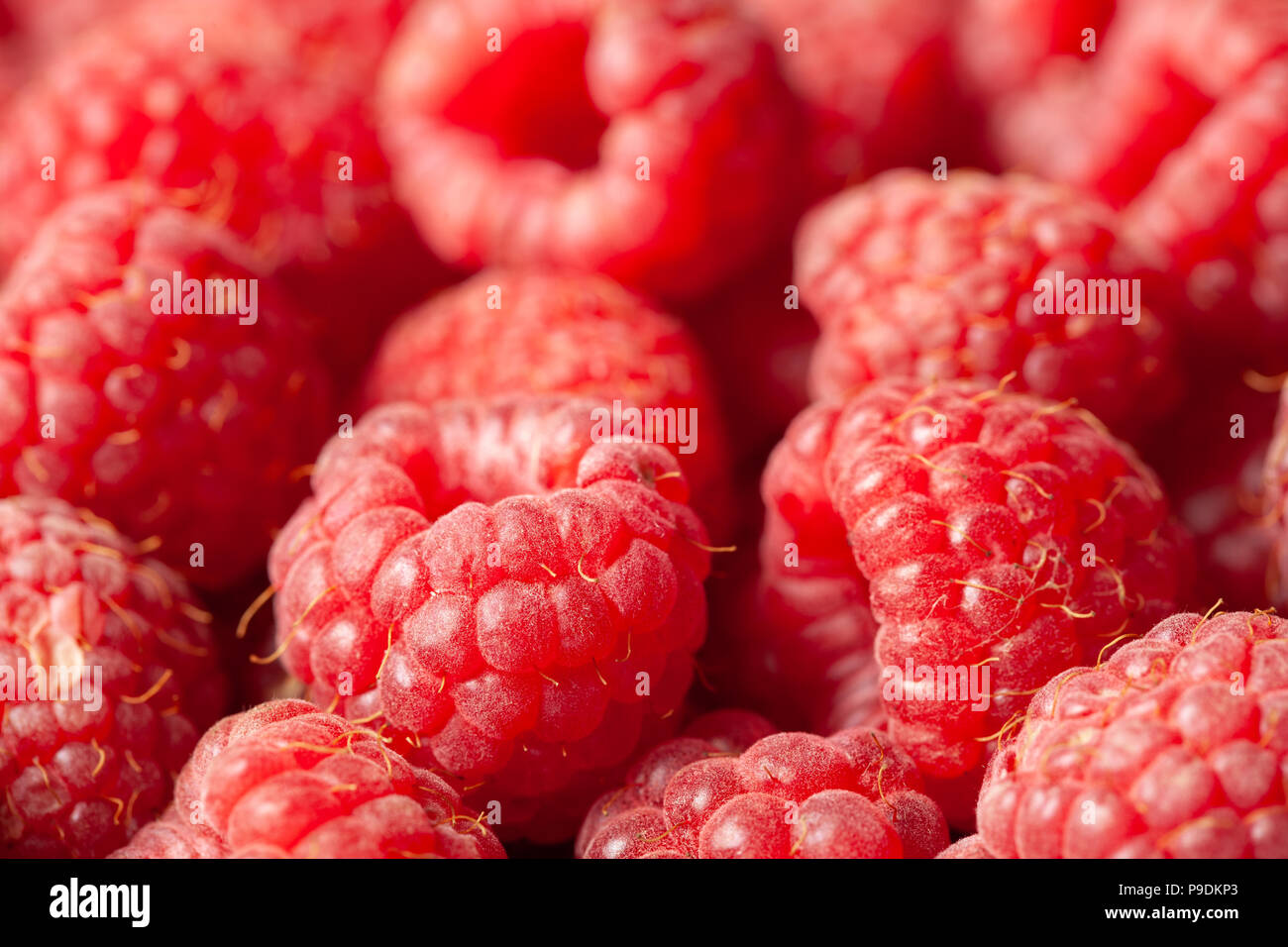 Red and ripe fresh raspberries close view as a background. Full frame image. Stock Photo