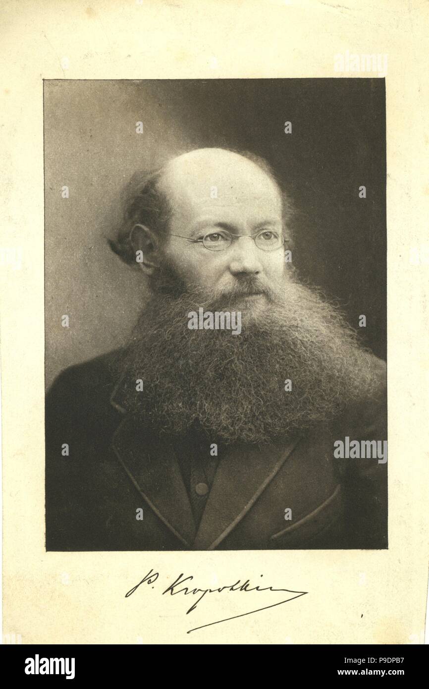 Portrait of Count Peter (Pyotr) Alexeyevich Kropotkin (1842-1921). Museum: State History Museum, Moscow. Stock Photo