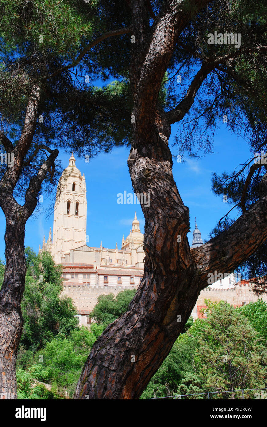 Cathedral. Segovia, Spain. Stock Photo