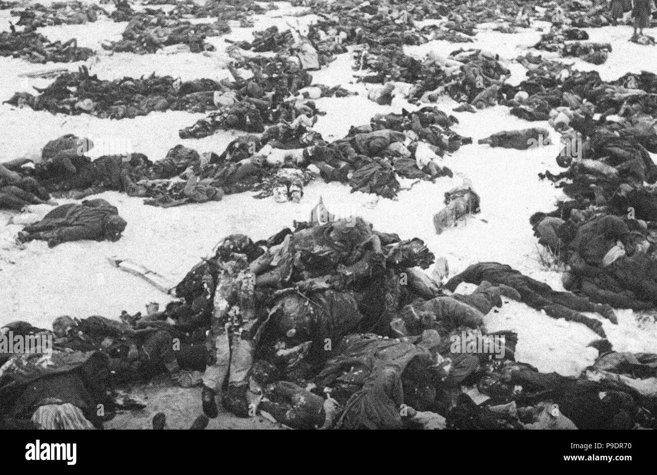 German soldiers killed in the Battle of Stalingrad. Museum: Russian State Film and Photo Archive, Krasnogorsk. Stock Photo