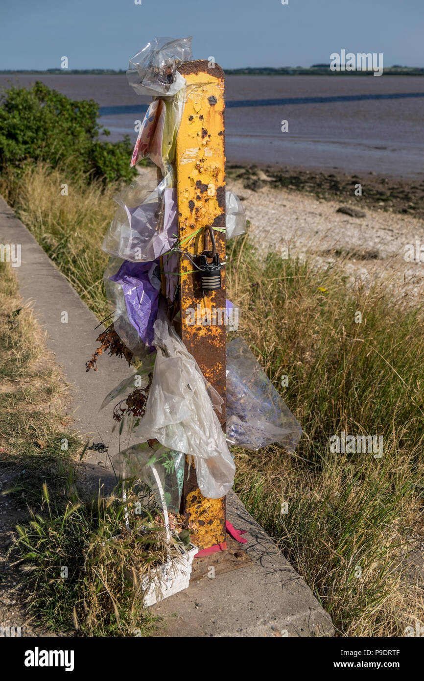 flowers which have passed their best in memory of someone who passed