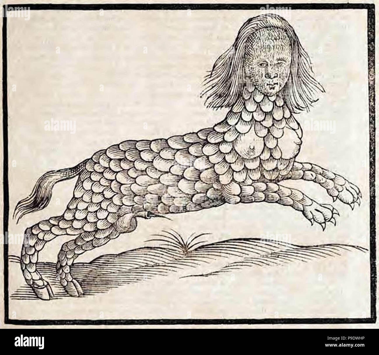 Medieval Harvest Festival Medieval Woodcut Stock Photos Medieval Woodcut Stock Medieval Harvest Festival Medieval Woodcut Stock Photos Medieval Woodcut Stock