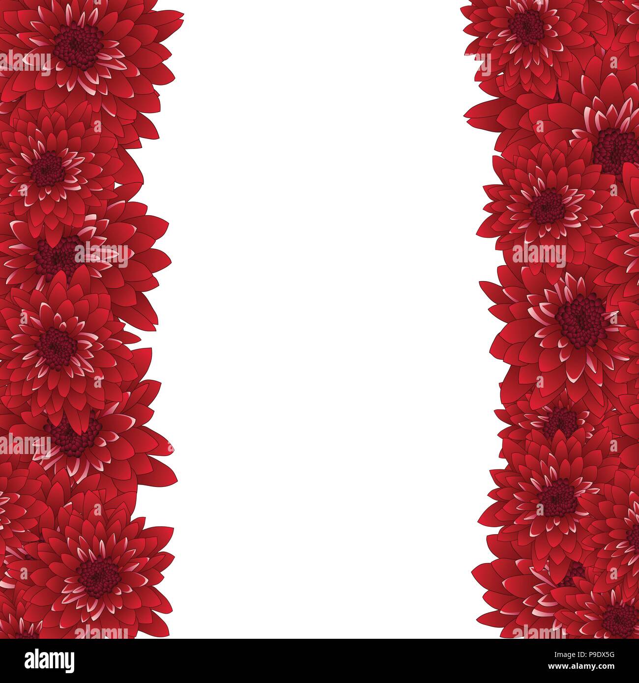 Red Chrysanthemum Border isolated on White Background. Vector Illustration. Stock Vector