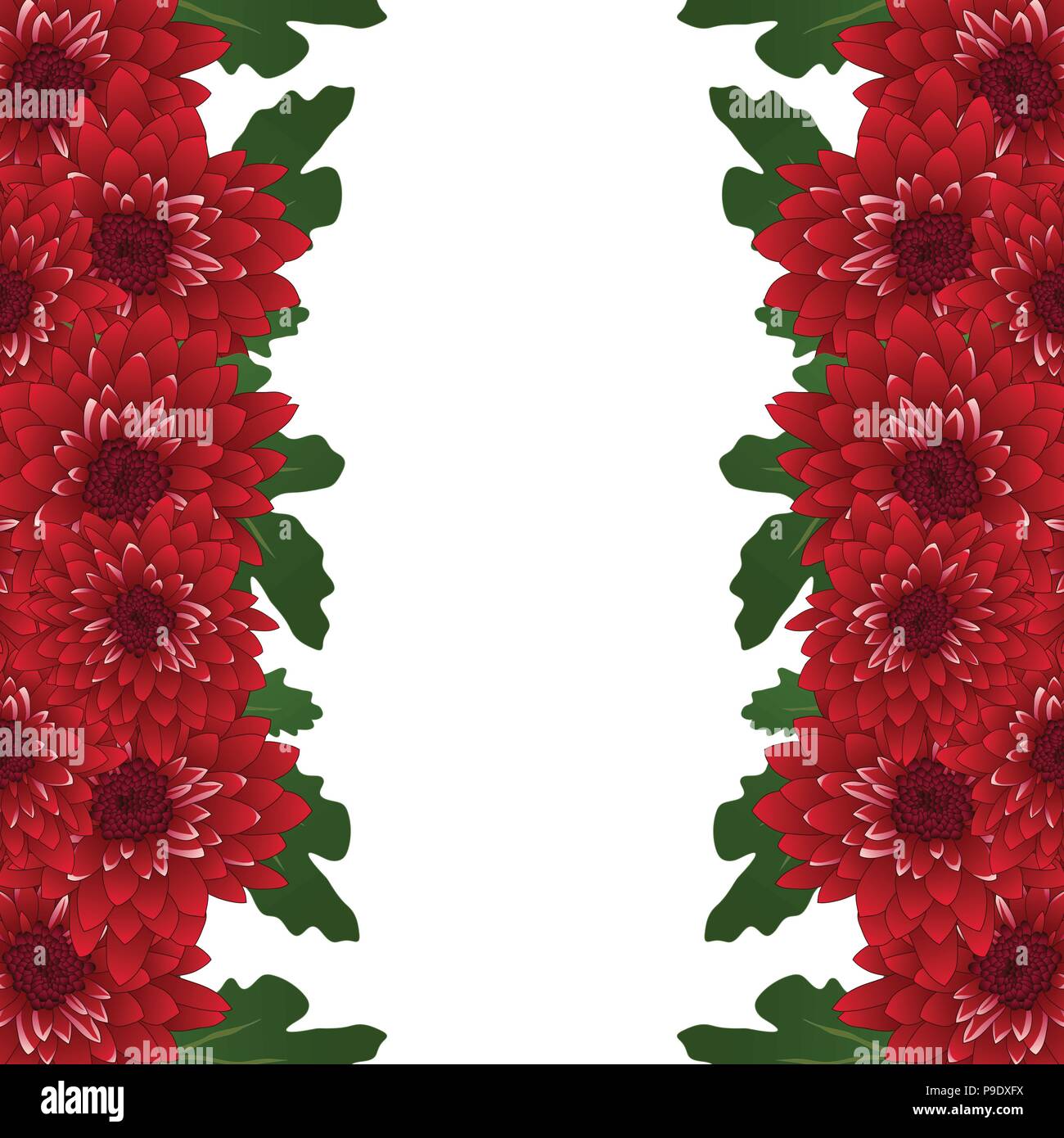 Red Chrysanthemum Border isolated on White Background. Vector Illustration. Stock Vector