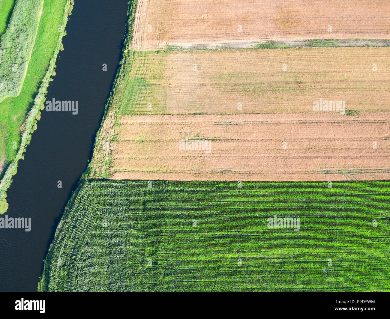 Fields by a river view directly from above Stock Photo