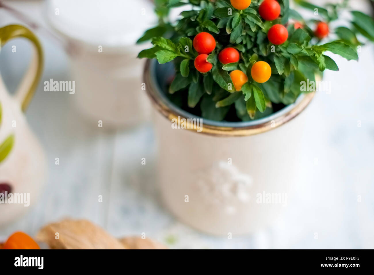 Homemade Tree in a pot with red berries and green leaves. White background. Free space for text or a postcard Stock Photo