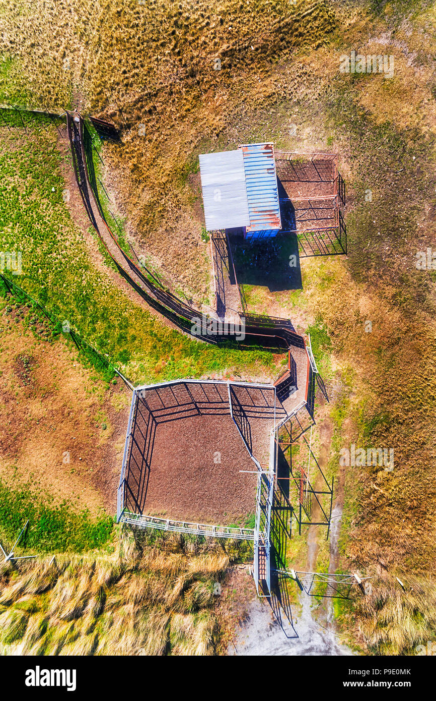 The entrance and loading gate at remote country cattle farm on a plain with pasture and grass in aerial vertical top down view on a shed with gate and Stock Photo