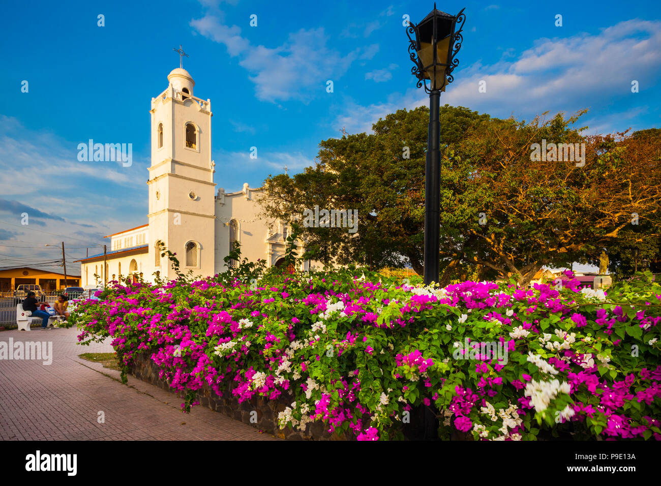 Beautiful flowers in the park in Penonome, Cocle province, Republic of