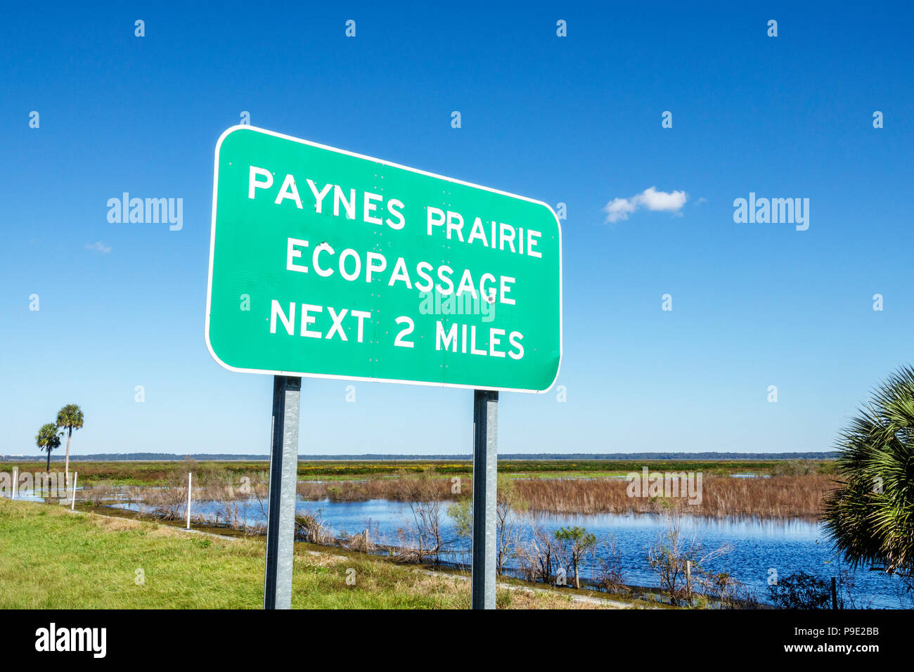 Gainesville Florida,Micanopy,Paynes Prairie Ecopassage Nature State Park Preserve,sign,freshwater marsh sink,National Natural Landmark,conservation,re Stock Photo