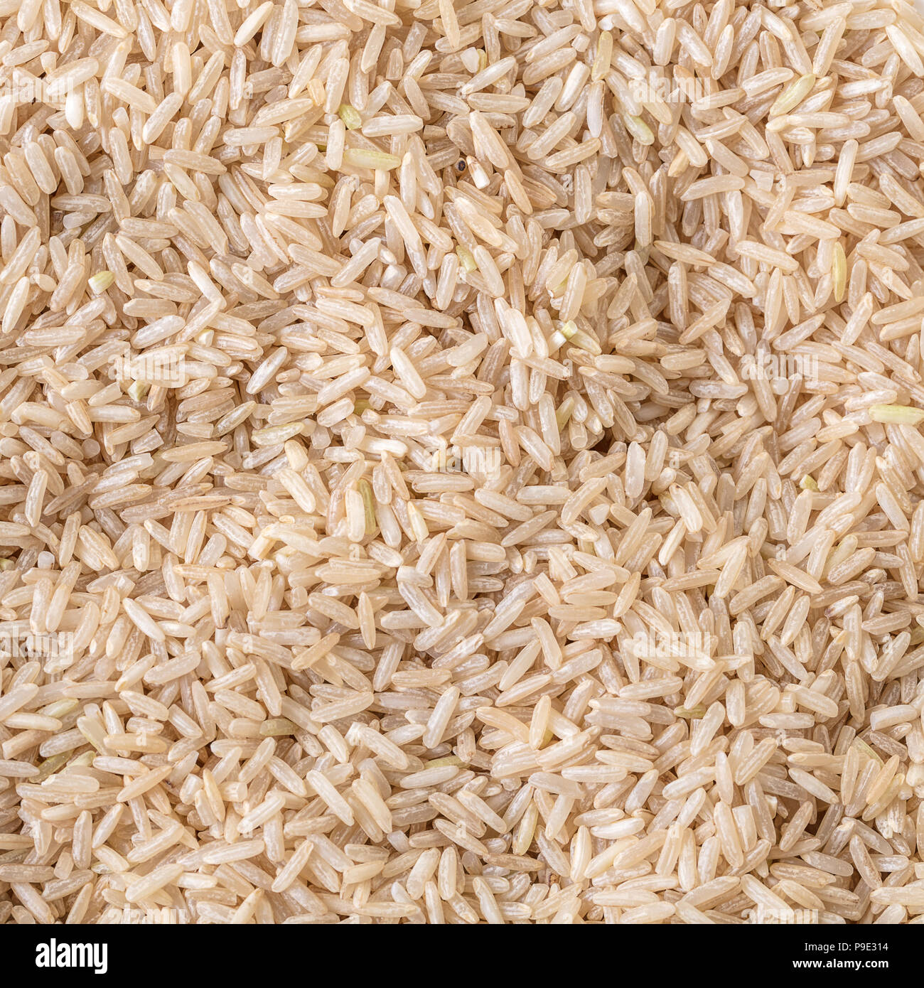 food background, texture unpolished rice brown closeup Stock Photo Alamy