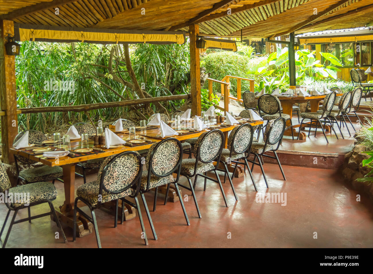 Table set on a junglecolored terrace in a tropical environment in a