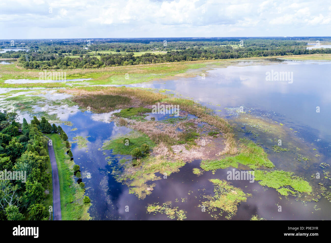Lakeland Florida,Lake Parker,aerial overhead view,FL18071146d Stock Photo
