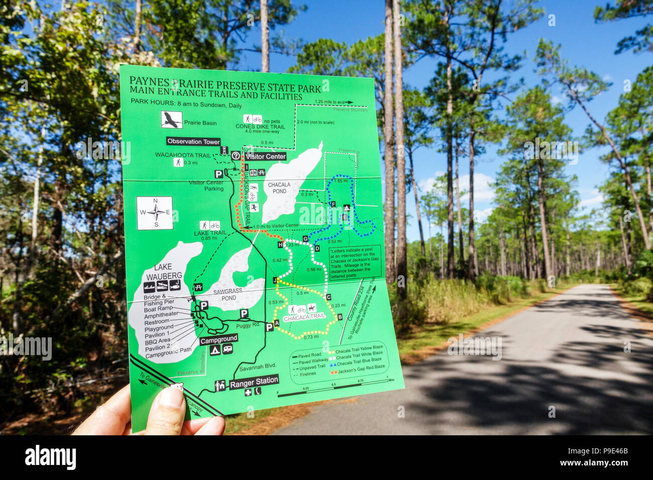 Gainesville Florida,Micanopy,Paynes Prairie Ecopassage Nature Preserve