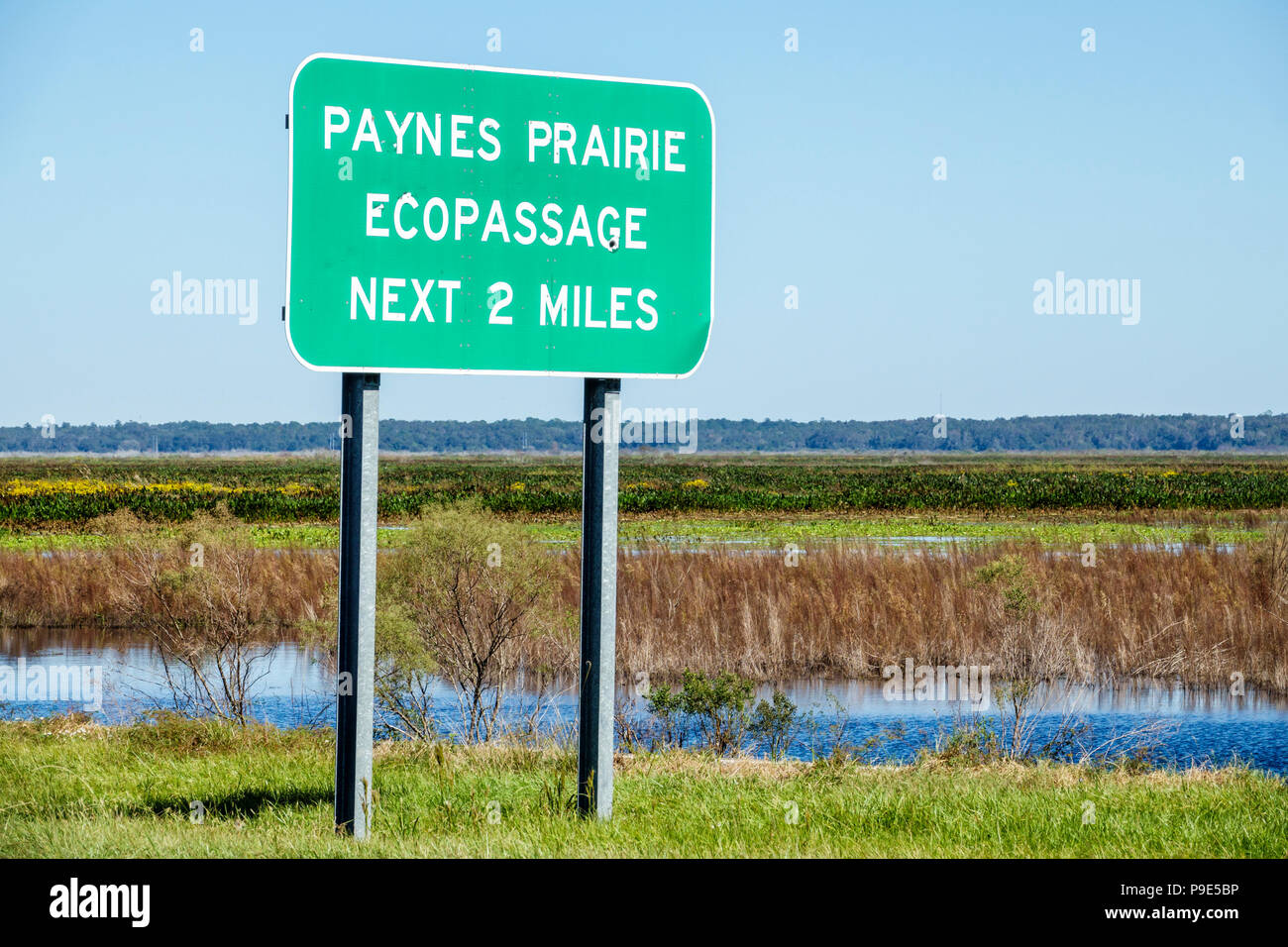 Gainesville Florida,Micanopy,Paynes Prairie Ecopassage Nature State Park Preserve,sign,freshwater marsh sink,National Natural Landmark,conservation,re Stock Photo