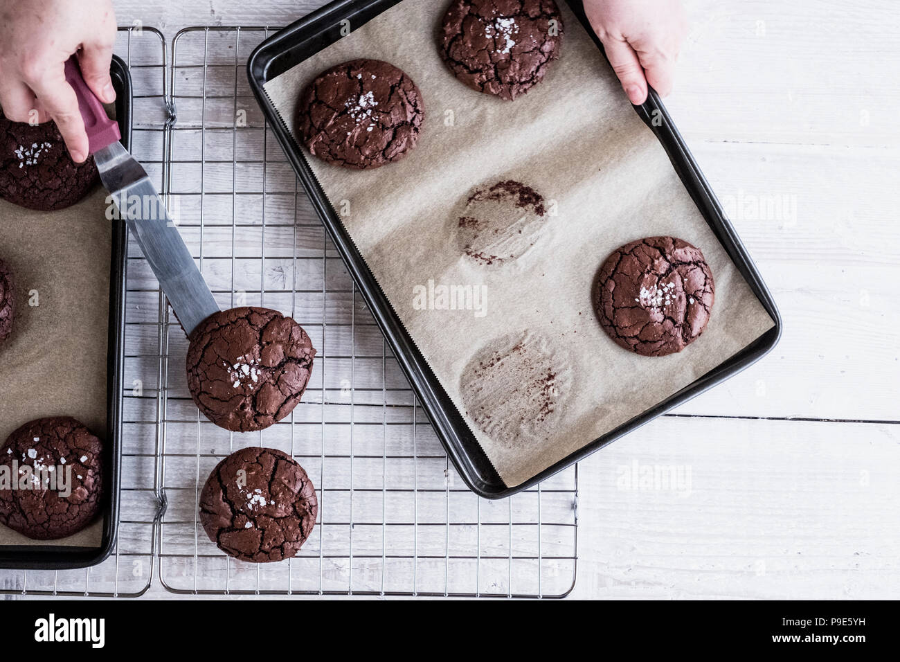 A person using a palette knife to move baked chocolate brownies from a