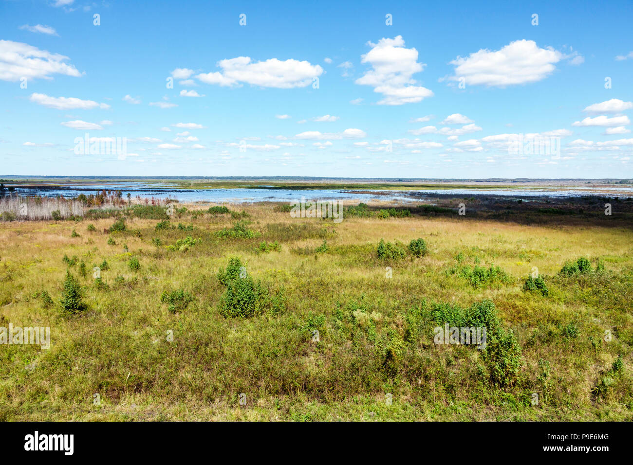 Florida, Gainesville, Micanopy, Paynes Prairie Ecopassage Nature