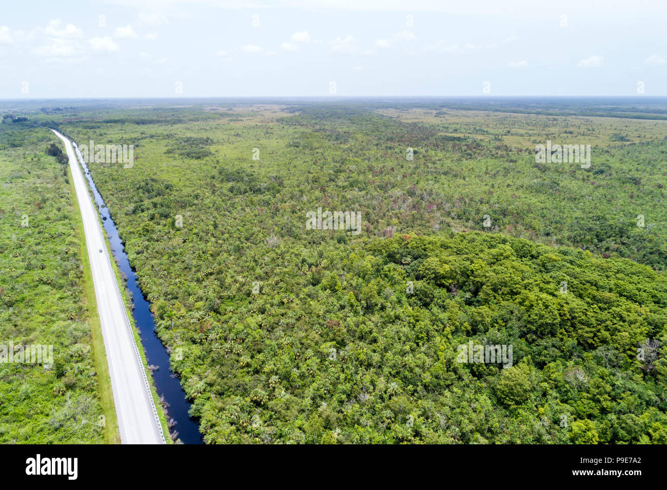Florida,Carnestown,US Route 29 highway,Big Cypress National Preserve,canal,aerial overhead view,FL18071121d Stock Photo