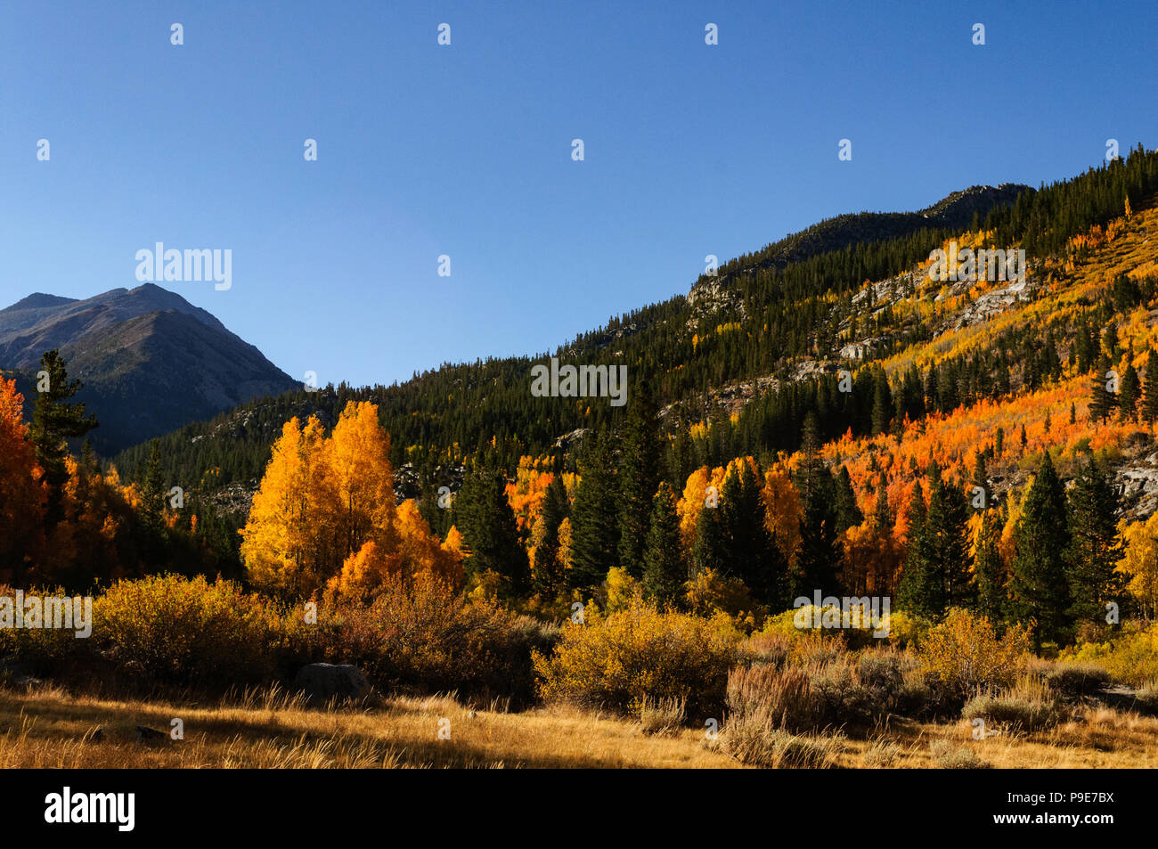Fall landscape near Bishop Creek, CA Stock Photo