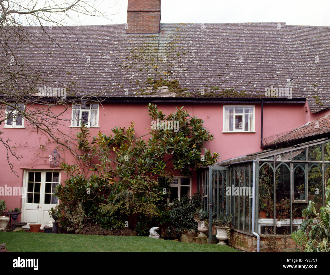Exterior of a pink painted country cottage with a conservatory extension Stock Photo